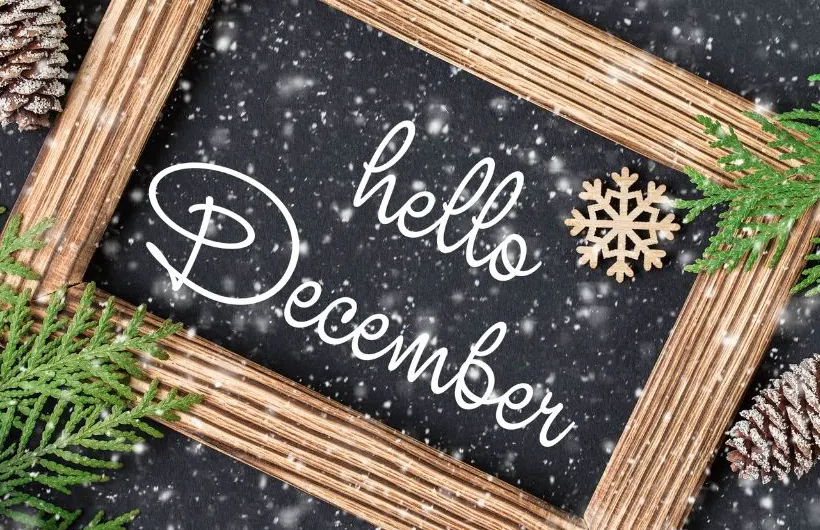 Managing Holiday Burnout: A Guide to Joyful, Stress-Free Celebrations